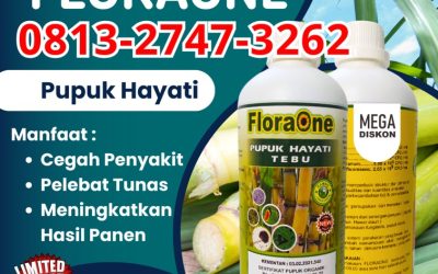 ALAMI CALL 0813-2747-3262, PUSAT Pupuk Cair Tebu Kabupaten Tuban, Pupuk Tanaman Tebu Kabupaten Tulungagung, Pupuk Untuk Tebu Kota Batu