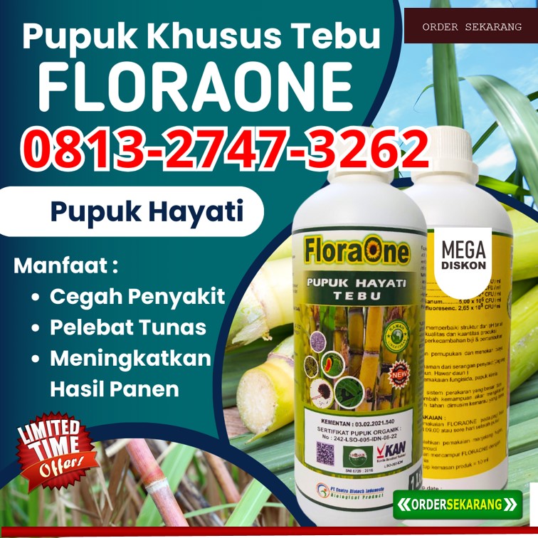 PUSAT Pupuk Yang Bagus Untuk Tanaman Tebu Kabupaten Tuban, JUAL Pupuk Yang Bagus Untuk Tebu Kabupaten Tulungagung, Pupuk Apa Yang Baik Untuk Tebu Kota Batu