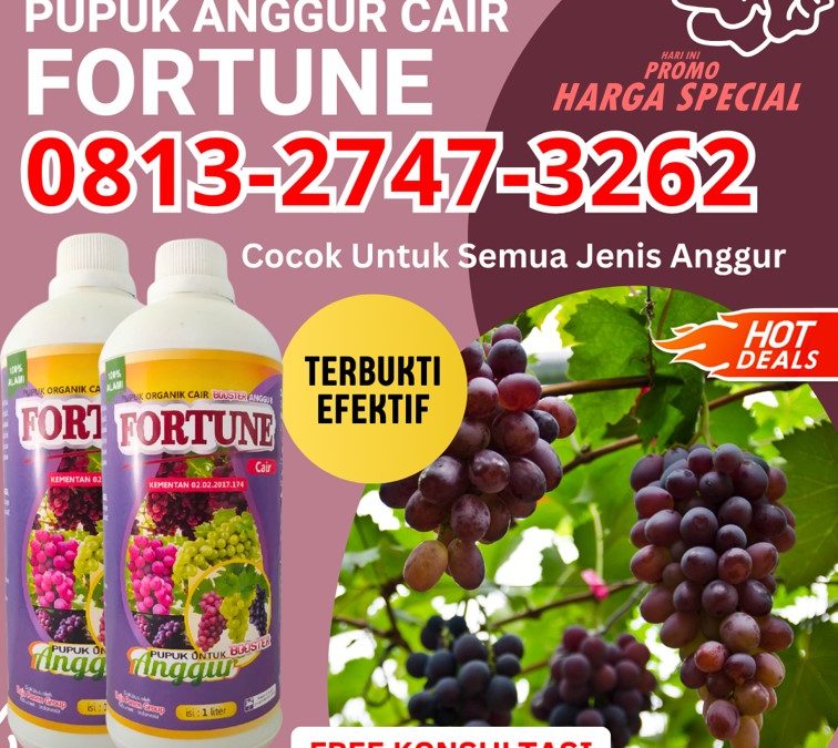 ORGANIK CALL 0813-2747-3262, JUAL Pupuk Anggur Poigar, Pupuk Buah Anggur Sangtombolang, Pupuk Untuk Anggur Bolang Uki