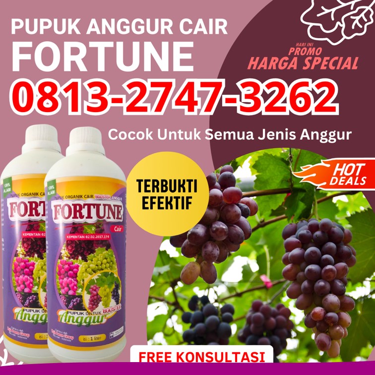 JUAL Pupuk Generatif Anggur Poigar, GROSIR Pupuk Anggur Masa Generatif Sangtombolang, Pupuk Anggur Hijau Bolang Uki