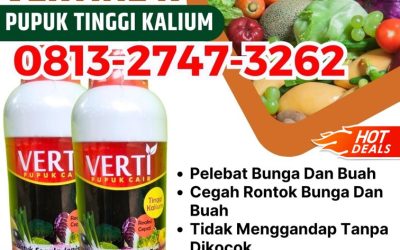 ORGANIK CALL 0813-2747-3262, JUAL Pupuk Kalium Karang Asem, Pupuk Kalium Cair Klungkung, Pupuk Kalium Cair Terbaik Tabanan