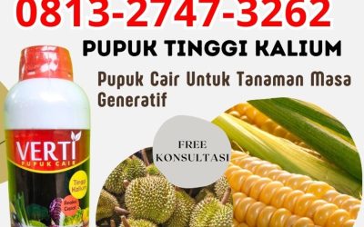 OH JADI INI CALL 0813-2747-3262, TOKO Pupuk Kalium Cair Buleleng, Pupuk Kalium Cair Terbaik Gianyar, Pupuk Kalium Terbaik Jembrana