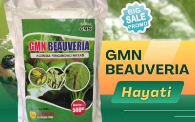 ORGANIK! TELP: 0812-2882-4834, AGEN Pembasmi Hama Aceh Selatan
