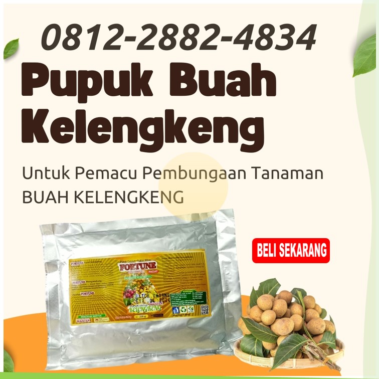 AGEN Pupuk Kelengkeng Jember
