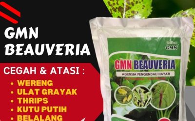 TERBAIK! TELP: 0812-2882-4834, DISTRIBUTOR Obat Pembasmi Hama Aceh Singkil
