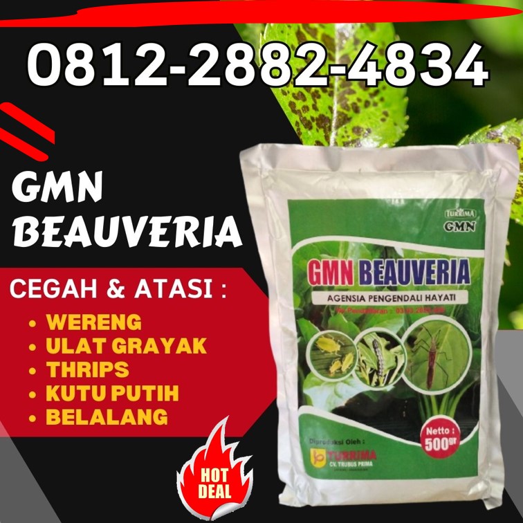 DISTRIBUTOR Obat Pembasmi Hama Aceh Singkil