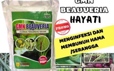 HARGA KHUSUS! TELP: 0812-2882-4834, GROSIR Pestisida Aceh Besar