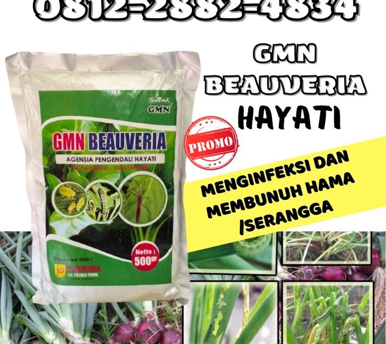 HARGA KHUSUS! TELP: 0812-2882-4834, GROSIR Pestisida Aceh Besar