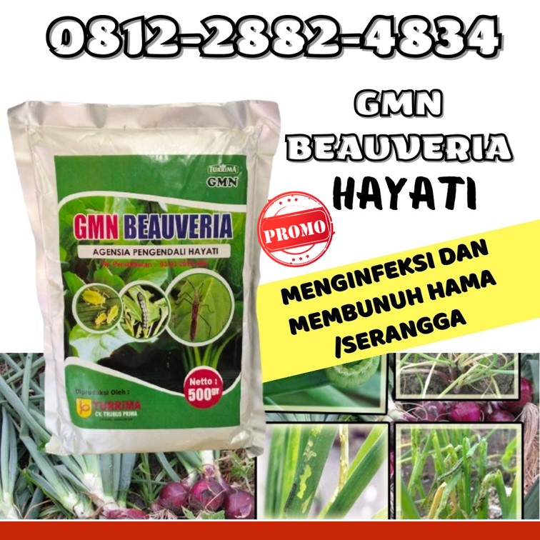 GROSIR Pestisida Aceh Besar