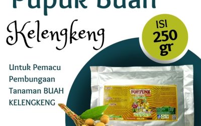 ALAMI! CALL 0812-2882-4834, HARGA Pupuk Kelengkeng Booster Bojonegoro