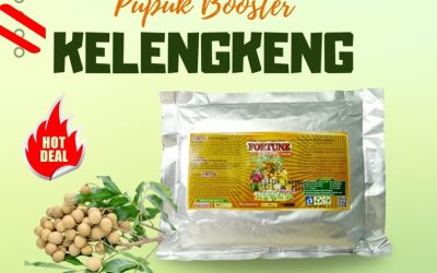CALL 0812-2882-4834, GROSIR Pupuk Untuk Kelengkeng Blitar