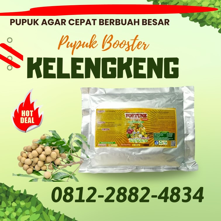 GROSIR Pupuk Untuk Kelengkeng Blitar