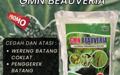 RAMAH LINGKUNGAN! TELP: 0812-2882-4834, HARGA Obat Hama Aceh Jaya