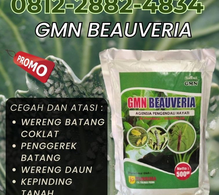 RAMAH LINGKUNGAN! TELP: 0812-2882-4834, HARGA Obat Hama Aceh Jaya