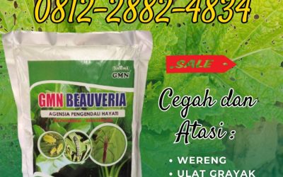 SEDANG DISKON! TELP: 0812-2882-4834, JUAL Insektisida Aceh Barat Daya