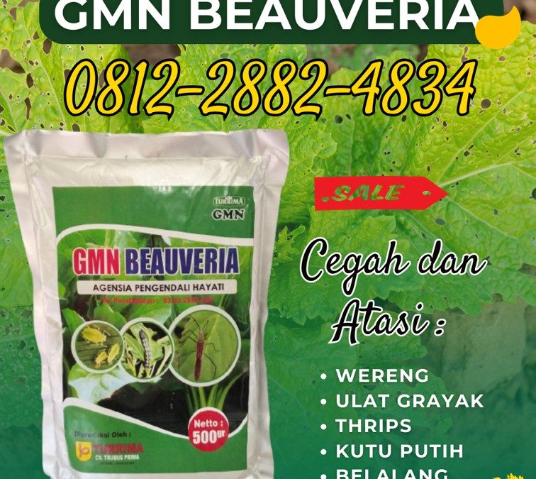 SEDANG DISKON! TELP: 0812-2882-4834, JUAL Insektisida Aceh Barat Daya