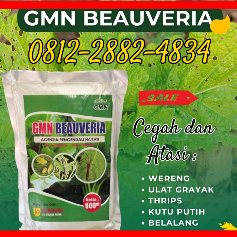 JUAL Insektisida Aceh Barat Daya