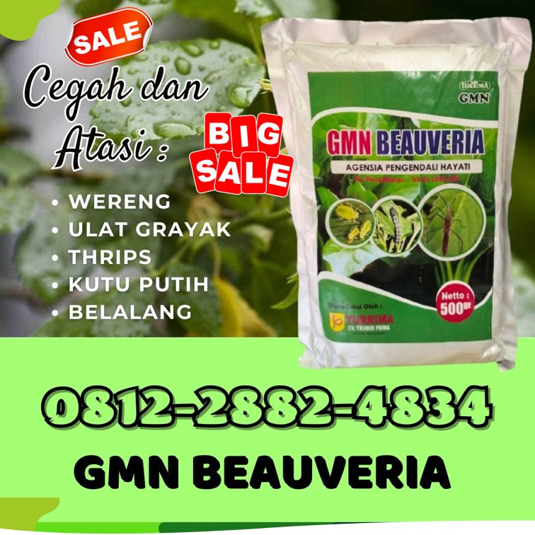 PUSAT GMN Beauveria Bassiana Aceh Barat
