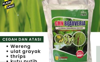 TERLARIS! TELP: 0812-2882-4834, PUSAT Pestisida Aceh Timur
