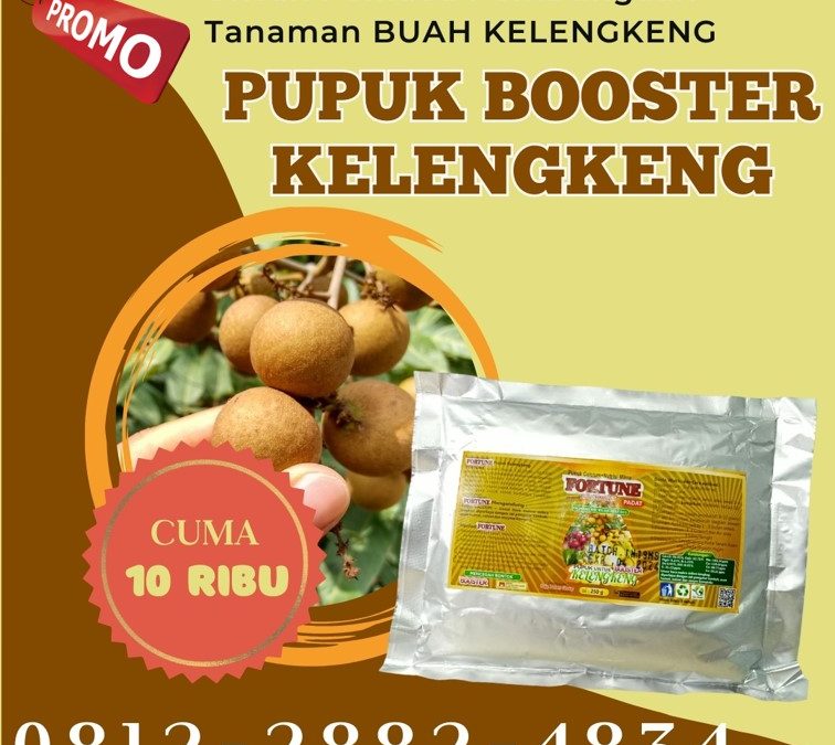 GARA GARA INI CALL 0812-2882-4834, PUSAT Pupuk Kelengkeng Bangkalan