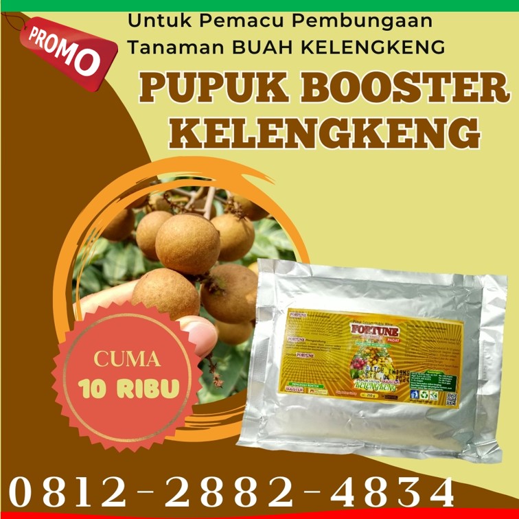 PUSAT Pupuk Kelengkeng Bangkalan