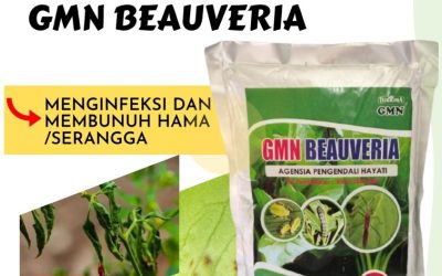 BISA PARTAI! TELP: 0812-2882-4834, SUPPLIER Insektisida Aceh Tenggara