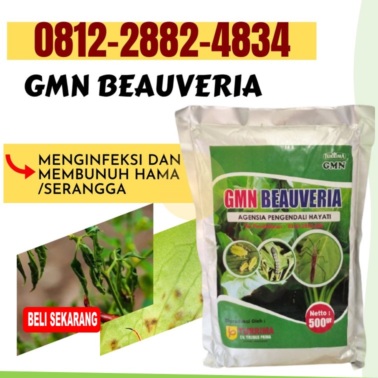 SUPPLIER Insektisida Aceh Tenggara