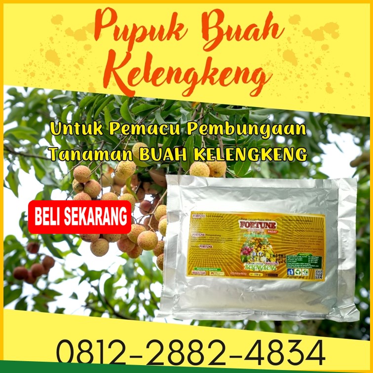 SUPPLIER Pupuk Untuk Kelengkeng Kediri