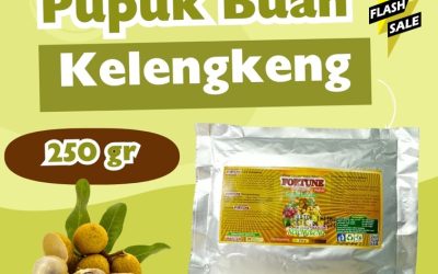 CALL 0812-2882-4834, TOKO Pupuk Buah Kelengkeng Jombang