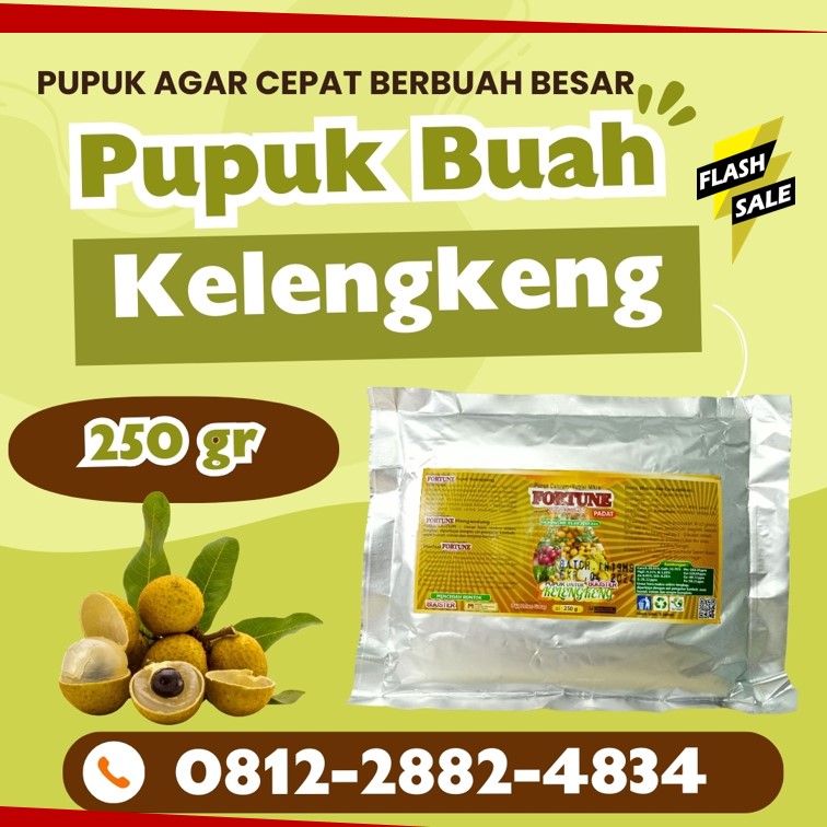 TOKO Pupuk Buah Kelengkeng Jombang