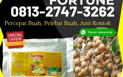 CUMA BULAN INI CALL 0813-2747-3262, GROSIR Pupuk Untuk Kelengkeng Ponorogo, Pupuk Kelengkeng Booster Probolinggo, Pupuk Booster Lengkeng Sampang