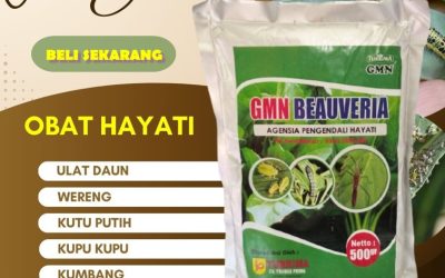 TERLARIS! TELP: 0813-2747-3262, GROSIR Insektisida Panton Reu, Pestisida Samatiga, Obat Hama Sungai Mas