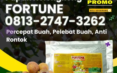 GA MAIN MAIN CALL 0813-2747-3262, GROSIR Booster Kelengkeng Kota Batu, Pupuk Kelengkeng Kota Blitar, Pupuk Buah Kelengkeng Kota Kediri