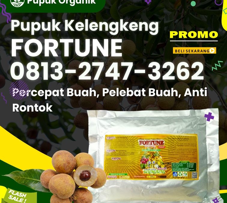 GA MAIN MAIN CALL 0813-2747-3262, GROSIR Booster Kelengkeng Kota Batu, Pupuk Kelengkeng Kota Blitar, Pupuk Buah Kelengkeng Kota Kediri