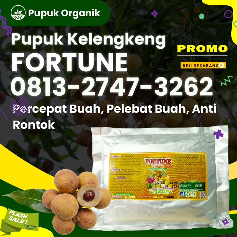 GROSIR Pupuk Agar Kelengkeng Berbuah Kota Batu, HARGA Pupuk Booster Buah Kelengkeng Kota Blitar, Booster Kelengkeng Kota Kediri