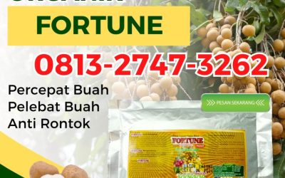 ALAMI CALL 0813-2747-3262, HARGA Pupuk Kelengkeng Booster Probolinggo, Pupuk Booster Lengkeng Sampang, Booster Kelengkeng Sidoarjo