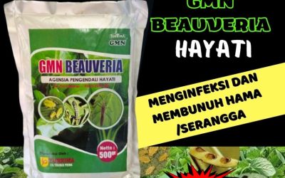 HARGA KHUSUS! TELP: 0813-2747-3262, AGEN Insektisida Kota Subulussalam, Pestisida Arongan Lambalek, Obat Hama Bubon