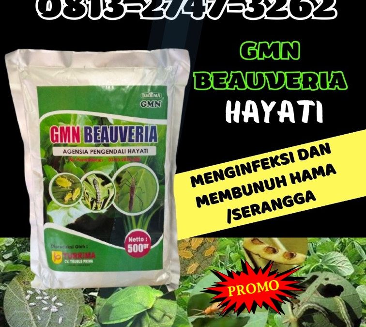 HARGA KHUSUS! TELP: 0813-2747-3262, AGEN Insektisida Kota Subulussalam, Pestisida Arongan Lambalek, Obat Hama Bubon