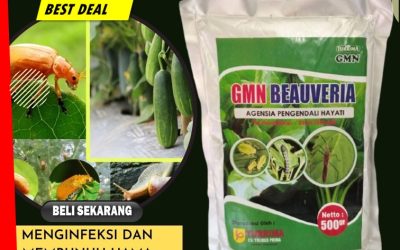 RAMAH LINGKUNGAN! TELP: 0813-2747-3262, DISTRIBUTOR Pestisida Arongan Lambalek, Obat Hama Bubon, Pembasmi Hama Johan Pahlawan