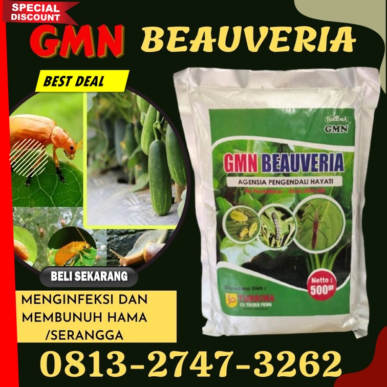 DISTRIBUTOR Obat Insektisida Paling Ampuh Arongan Lambalek, AGEN Obat Insektisida Untuk Semut Bubon, Insektisida Penggerek Batang Padi Johan Pahlawan