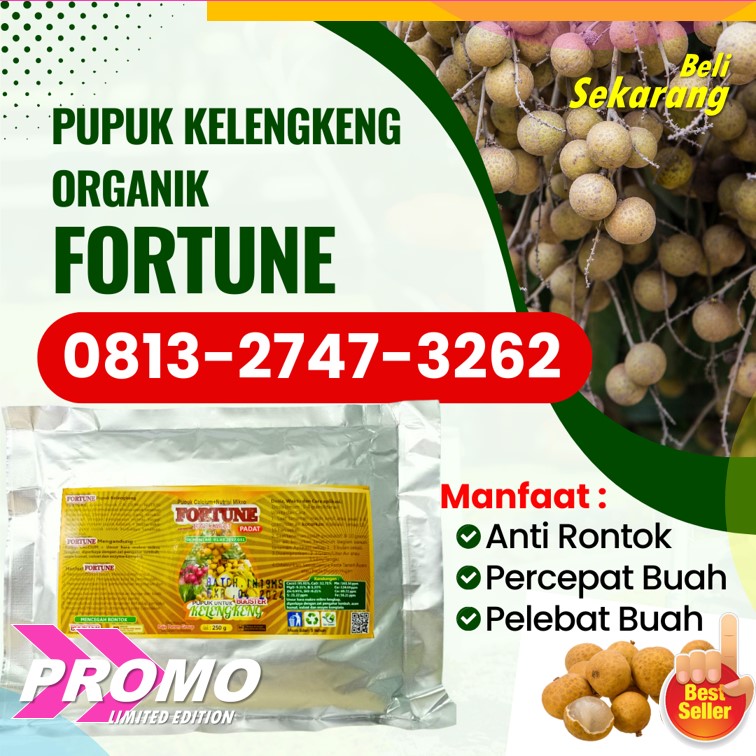DISTRIBUTOR Pupuk Untuk Tanaman Kelengkeng Sidoarjo, AGEN Pupuk Perangsang Tanaman Kelengkeng Situbondo, Pupuk Terbaik Untuk Tanaman Kelengkeng Sumenep