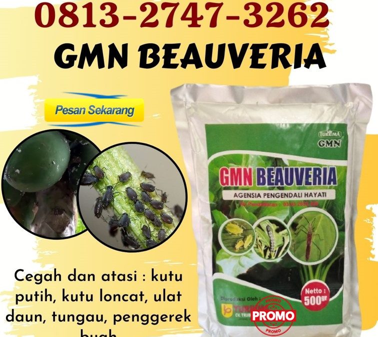 AGEN Obat Insektisida Untuk Semut Bubon, TOKO Insektisida Penggerek Batang Padi Johan Pahlawan, Insektisida Terbaik Kaway Xvi