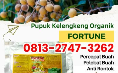 OH JADI INI CALL 0813-2747-3262, TOKO Pupuk Buah Kelengkeng Sumenep, Pupuk Untuk Kelengkeng Trenggalek, Pupuk Kelengkeng Booster Tuban