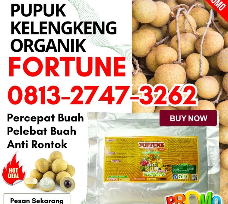 CUMA BULAN INI CALL 0813-2747-3262, SUPPLIER Pupuk Untuk Kelengkeng Trenggalek, Pupuk Kelengkeng Booster Tuban, Pupuk Booster Lengkeng Tulungagung