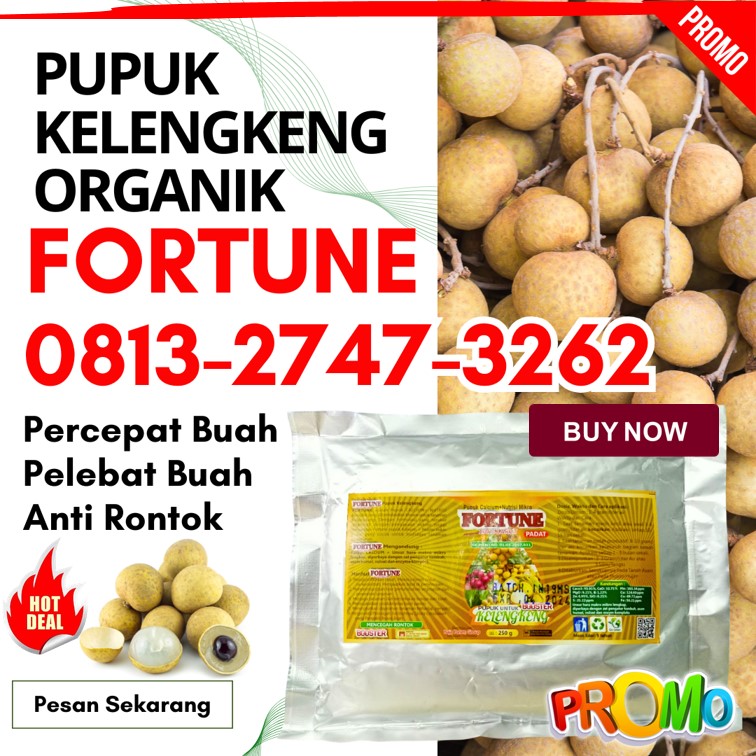 SUPPLIER Pupuk Terbaik Untuk Kelengkeng Trenggalek, PUSAT Pupuk Booster Lengkeng Tuban, Pupuk Khusus Kelengkeng Tulungagung