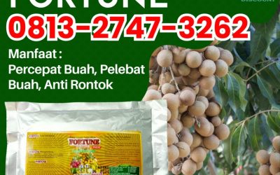 ALAMI CALL 0813-2747-3262, PUSAT Pupuk Kelengkeng Booster Tuban, Pupuk Booster Lengkeng Tulungagung, Booster Kelengkeng Kota Batu