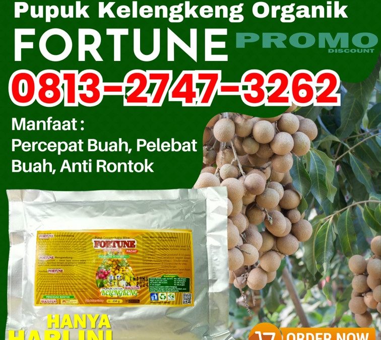 ALAMI CALL 0813-2747-3262, PUSAT Pupuk Kelengkeng Booster Tuban, Pupuk Booster Lengkeng Tulungagung, Booster Kelengkeng Kota Batu