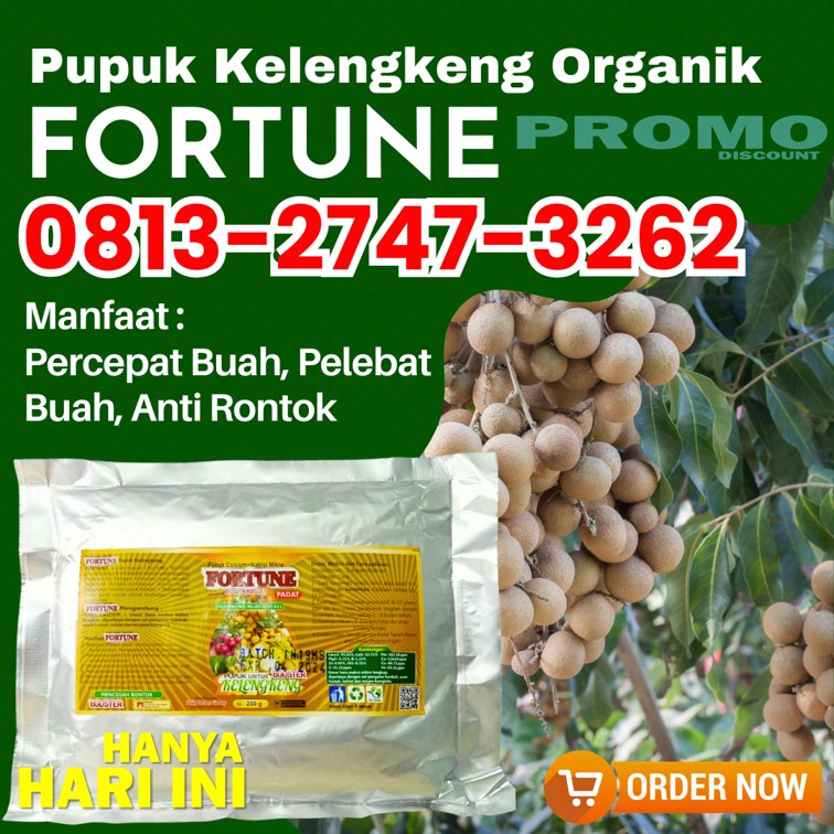 PUSAT Pupuk Booster Lengkeng Tuban, JUAL Pupuk Khusus Kelengkeng Tulungagung, Pupuk Agar Kelengkeng Berbuah Kota Batu