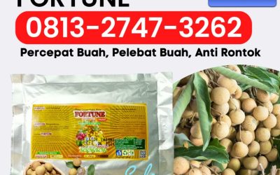 ORGANIK CALL 0813-2747-3262, JUAL Pupuk Booster Lengkeng Tulungagung, Booster Kelengkeng Kota Batu, Pupuk Kelengkeng Kota Blitar