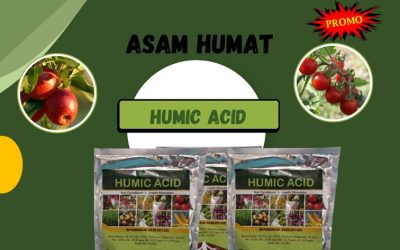 CALL 0812-2882-4834, AGEN Asam Humat Genteng, Humic Acid Giri, Asam Humat Terbaik Glagah